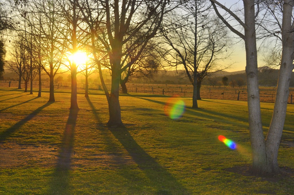 10 Tips to Simple Living…Its Stuff You Already&nbsp;Know!